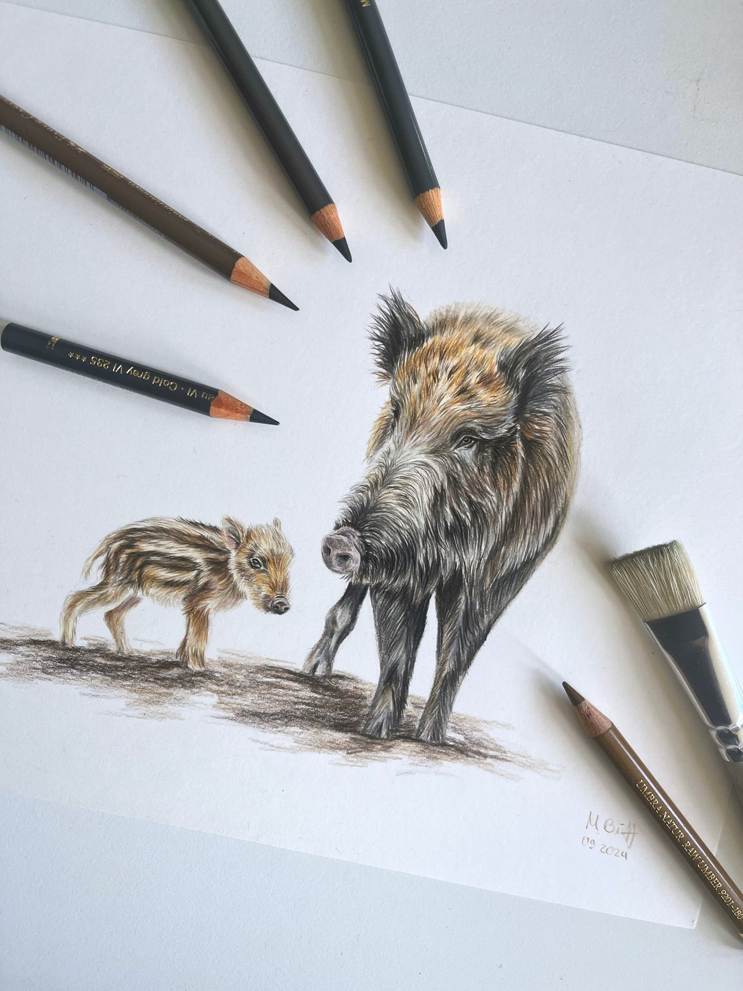 Original Wildschweine