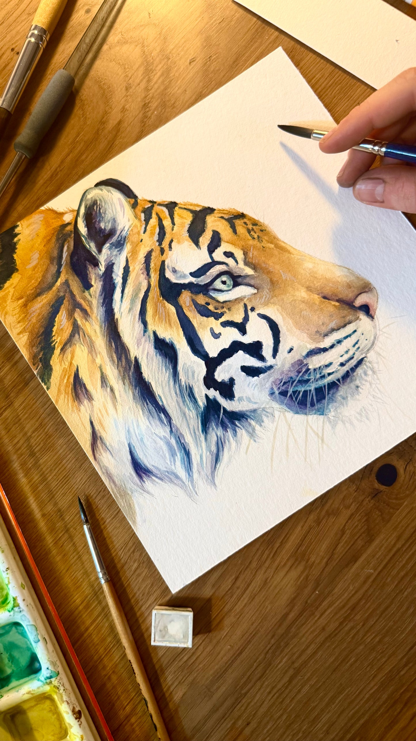 Original bunter Tiger