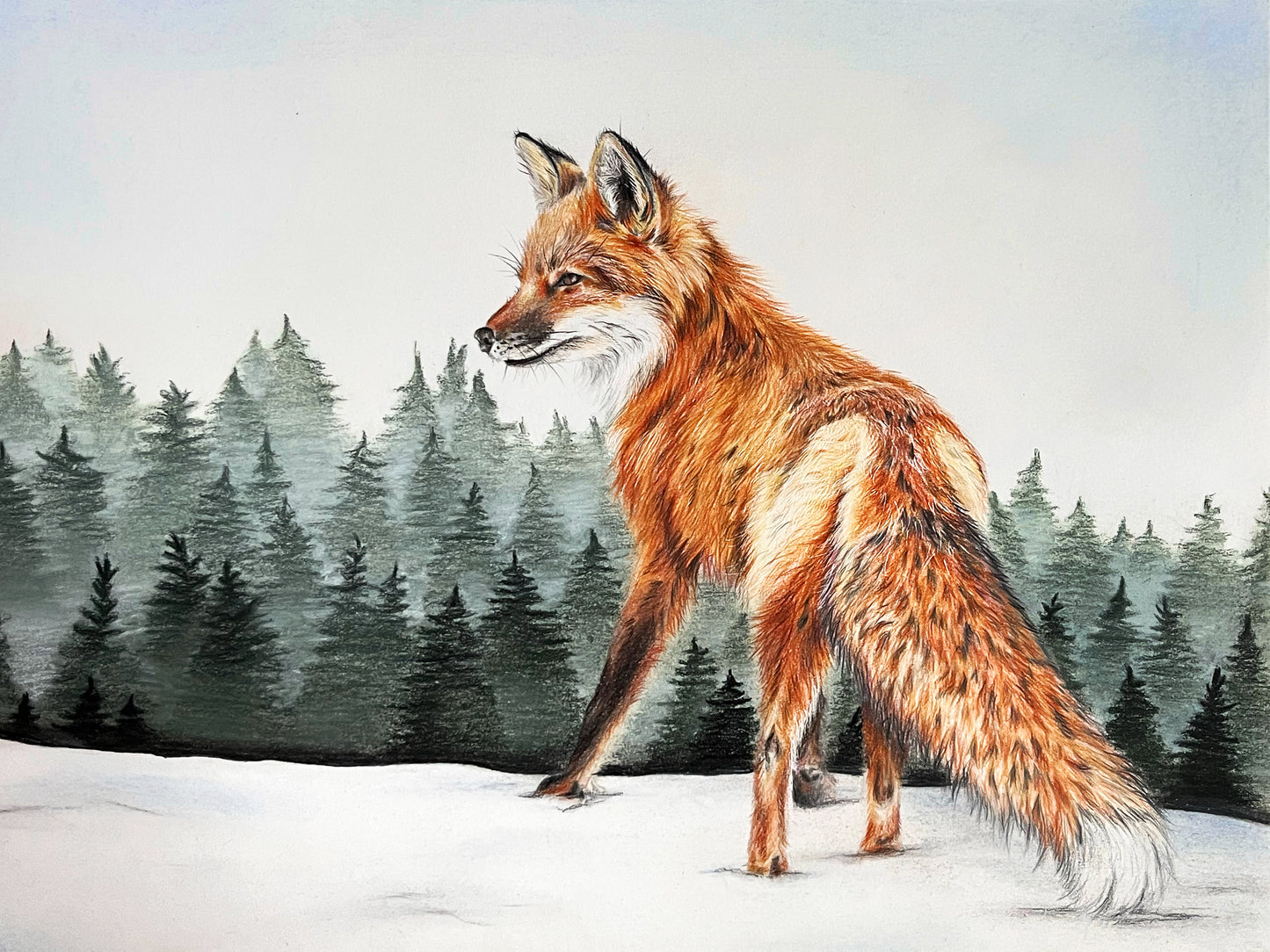 Fineart Print Fuchs im Schnee