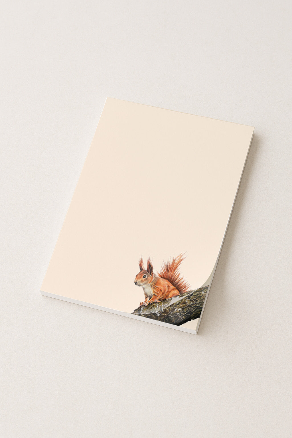 Notizblock A5 Eichhörnchen