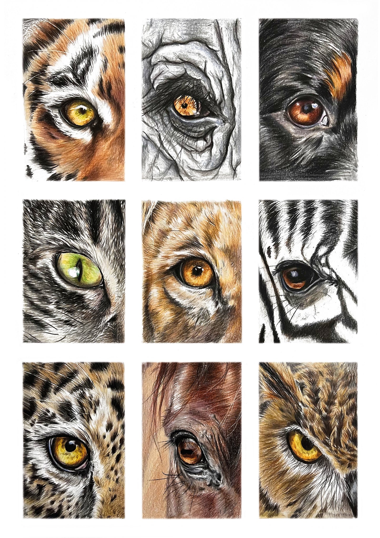 Fineart Print Tieraugen