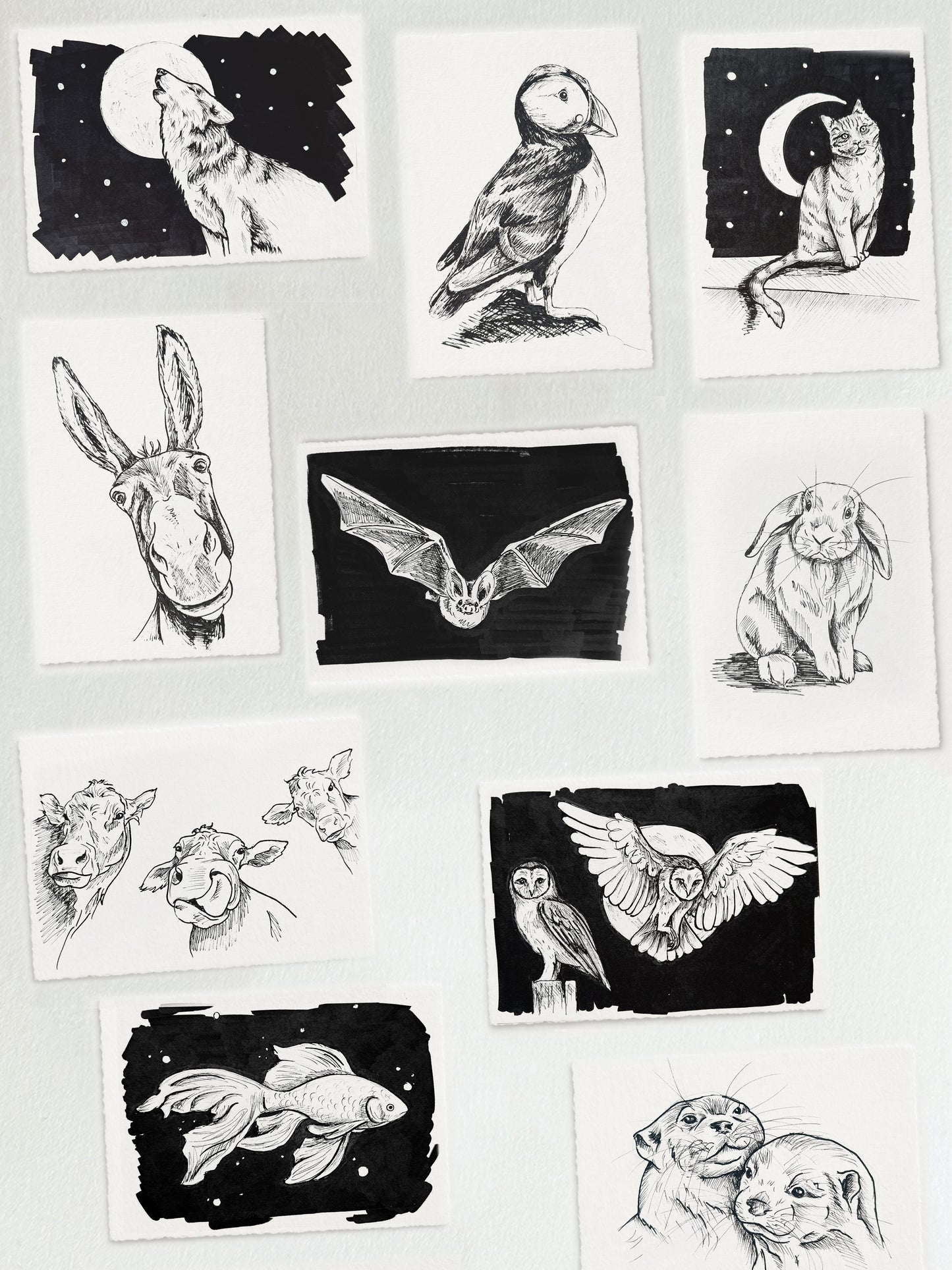 Postkarten Tiertober 2025