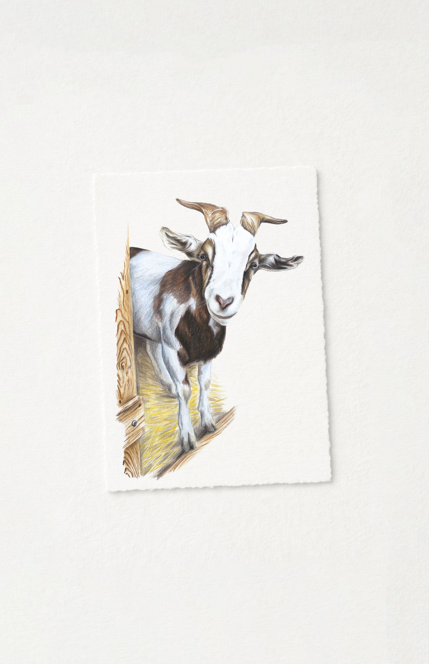 Postkarten Bauernhofmotive