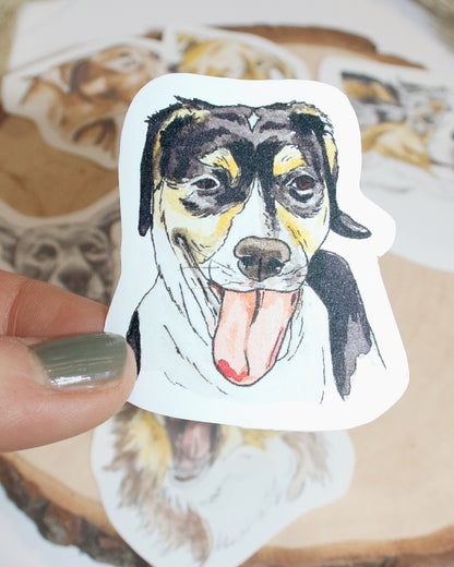 Sticker-Set lustige Hunde