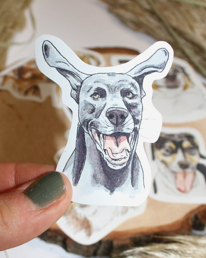 Sticker-Set lustige Hunde