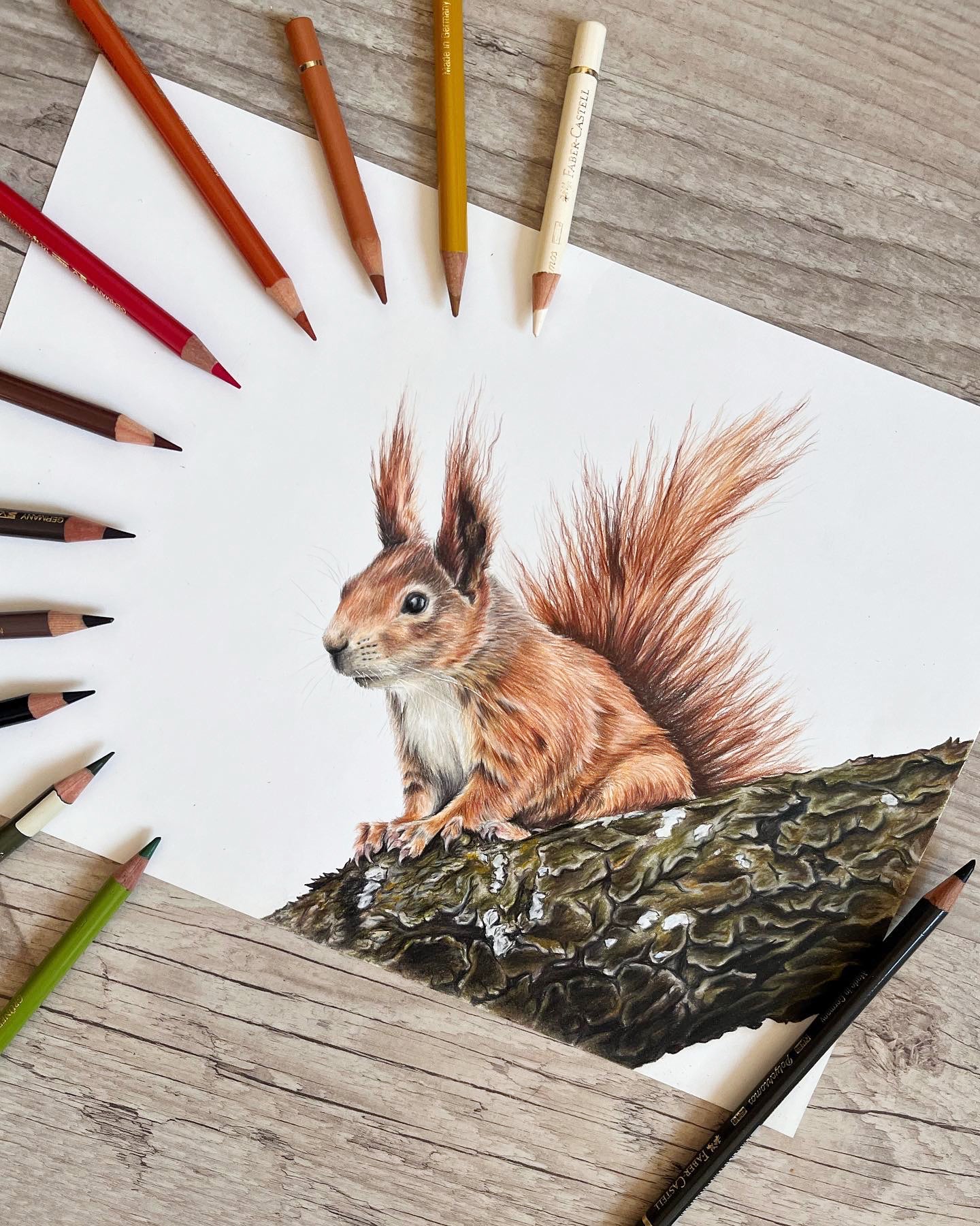 Fineart Print Eichhörnchen