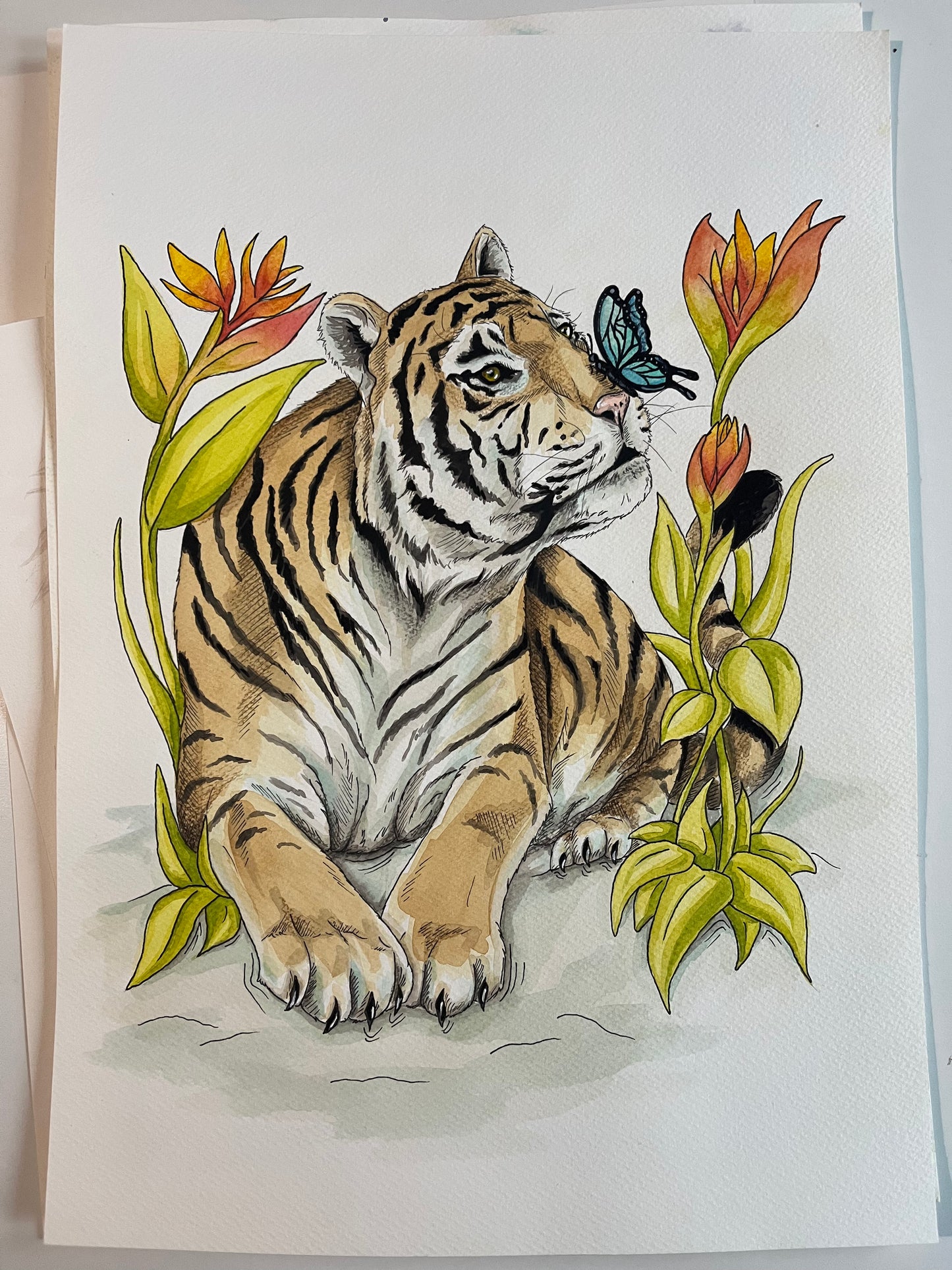 Original Tiger, Blümchen und Schmetterling