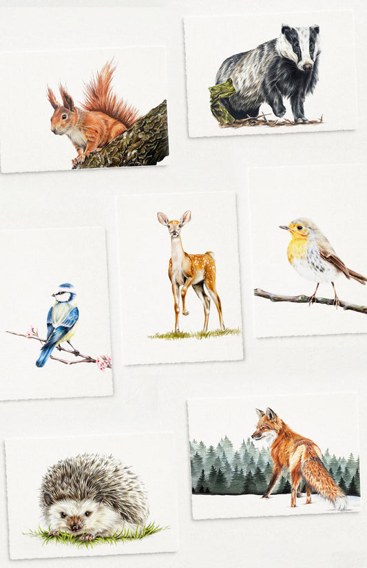 Postkarten Waldtiere