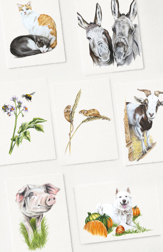 Postkarten Bauernhofmotive