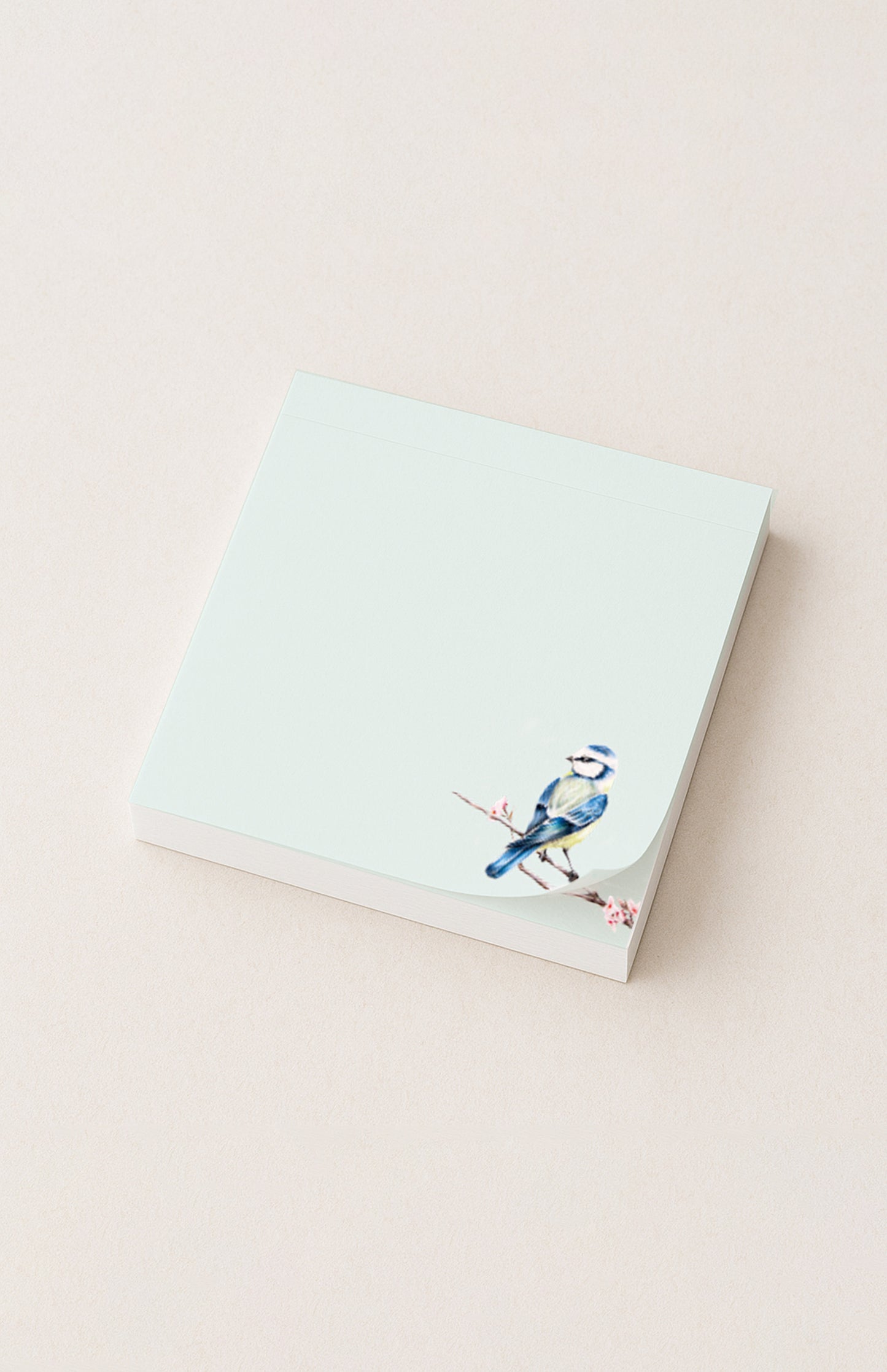 Notizzettel Blaumeise 100 Blatt