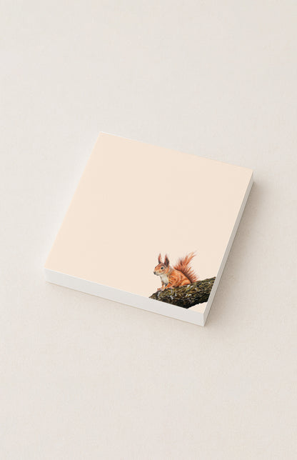 Notizzettel Eichhörnchen 100 Blatt