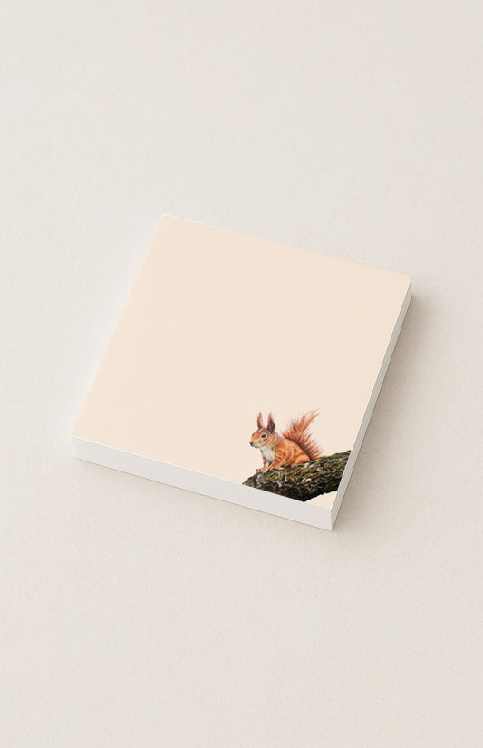 Notizzettel Eichhörnchen 100 Blatt