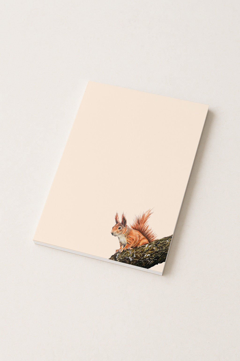 Notizblock A5 Eichhörnchen