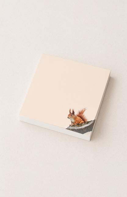 Notizzettel Eichhörnchen 100 Blatt
