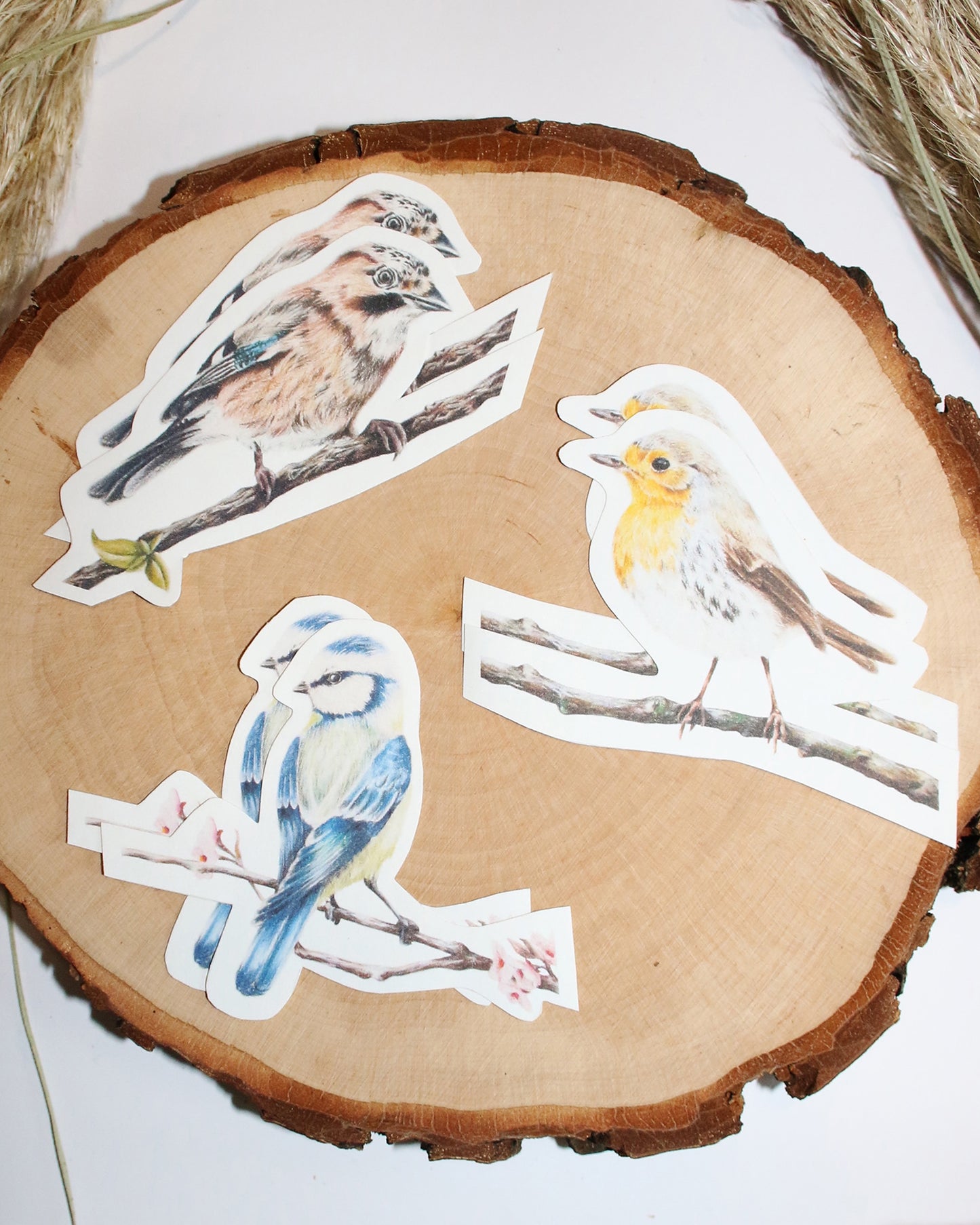 Sticker-Set Vögel