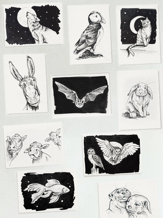 Postkarten Tiertober 2025